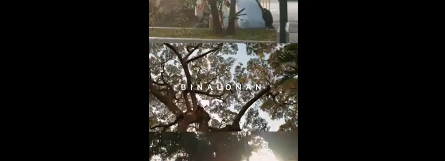 Video 4
